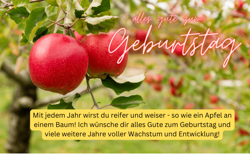 Alles Gute zum Geburtstag 50+ beste Sprüche mit Bildern